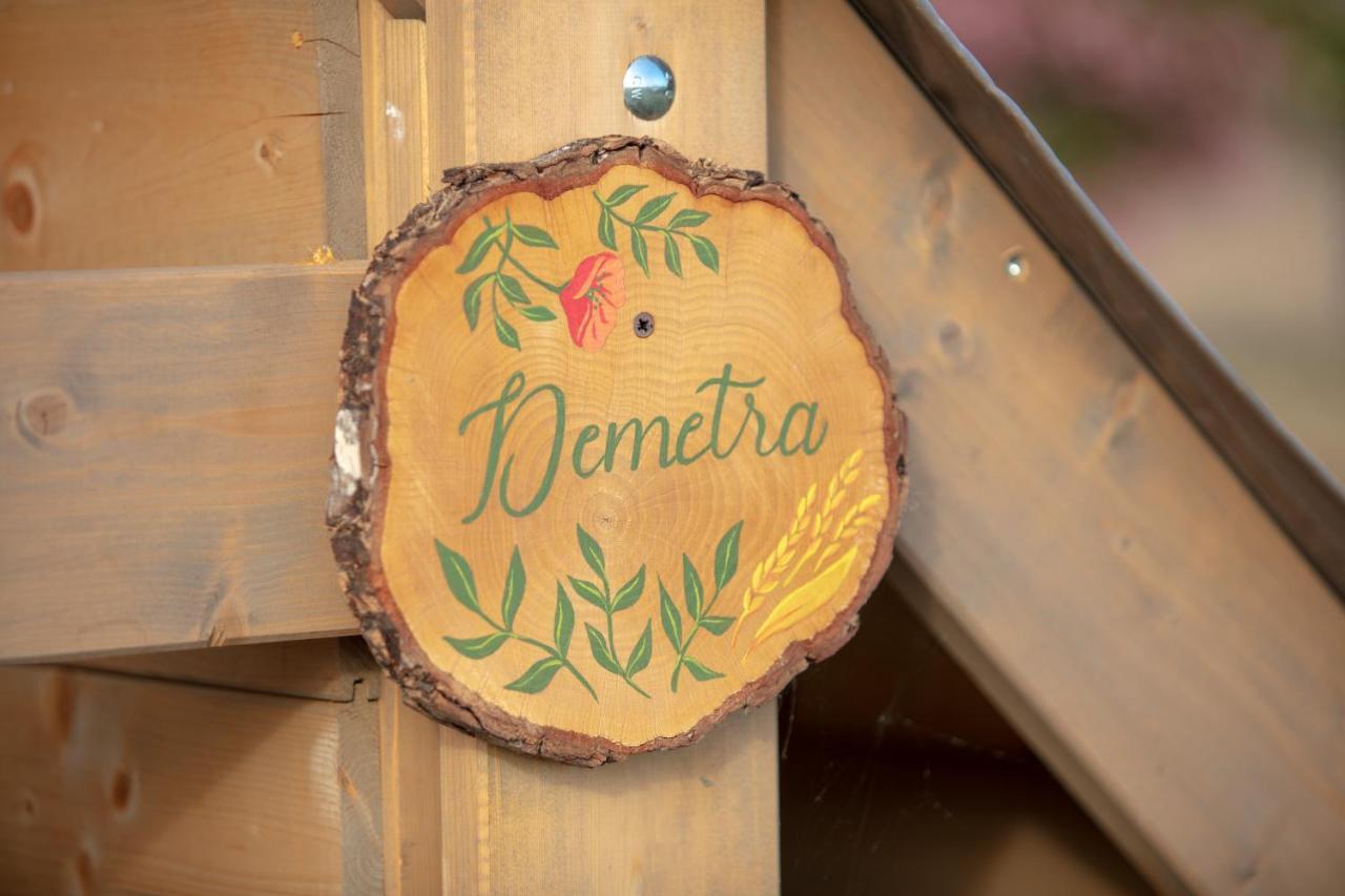 Glamping Debbiare Hotel Riparbella Luaran gambar